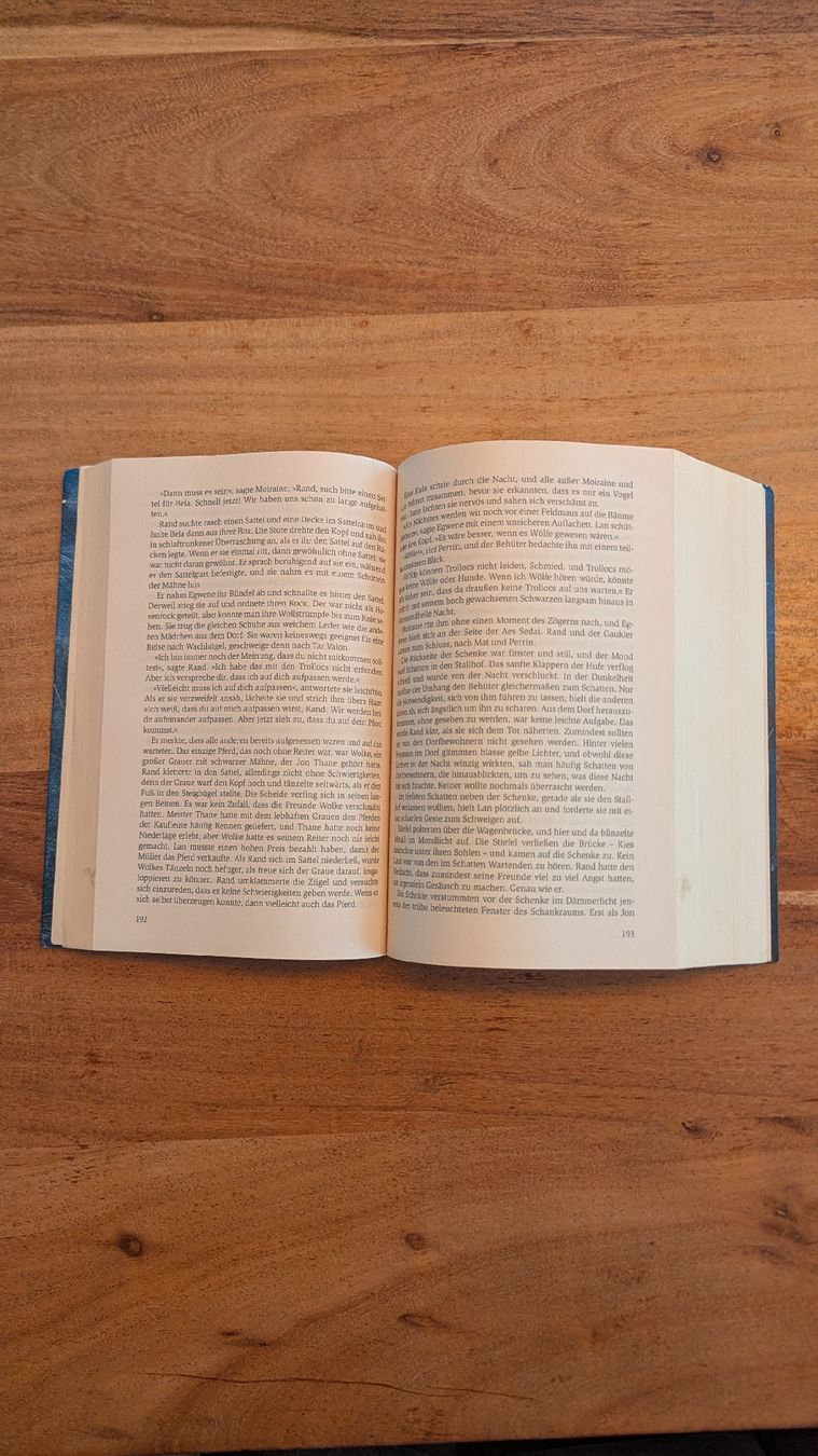 Libri: Robert Jordan Das Rad der Zeit 1 Buch – Usato da Aarau venduto da CaptainCalin 2