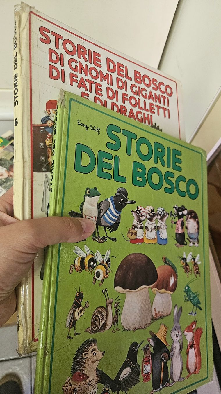 Libri: Libri Storie del bosco di Tony Wolf – Usato da Melano venduto da H-Sara