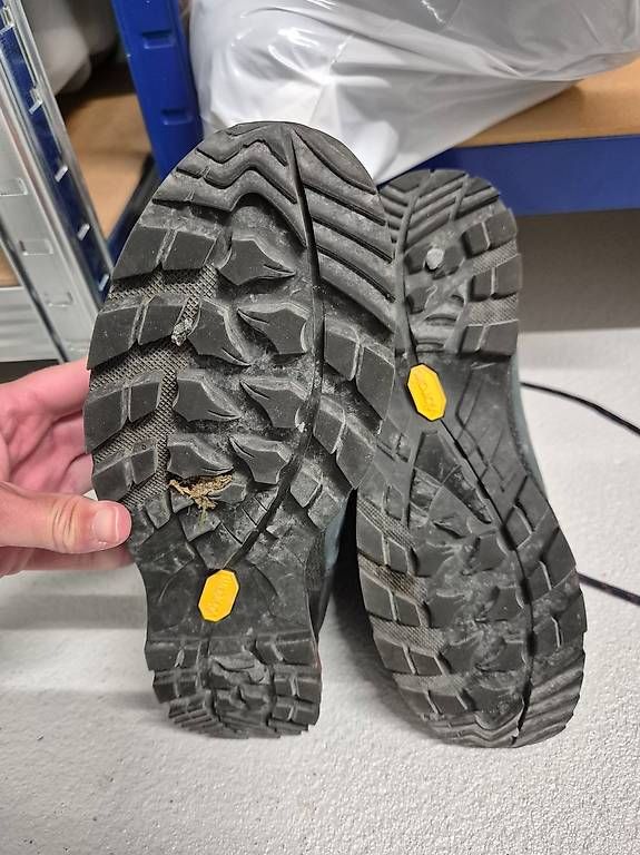 Lowa Damenschuhe: LOWA Wanderschuh Damen – Neu (gemäss Beschreibung) aus Ennetbürgen von fflury 2