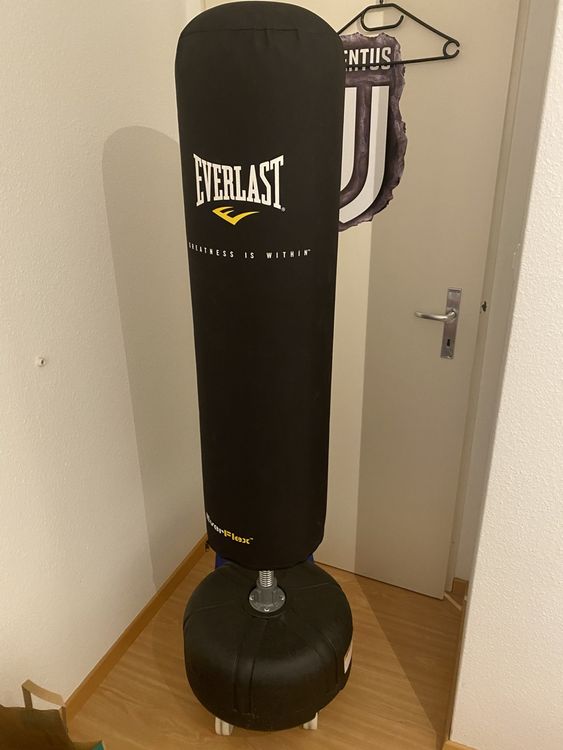 Everlast fit everflex cheap cardio strike bag