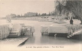 Genf (GE) Eisbise im Parc Mon Repos