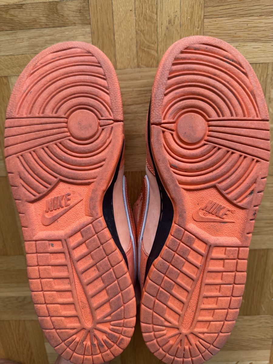 Chaussures hommes: Dunk low sb lobster orange – D'occasion à Genève par mat_2vps 2