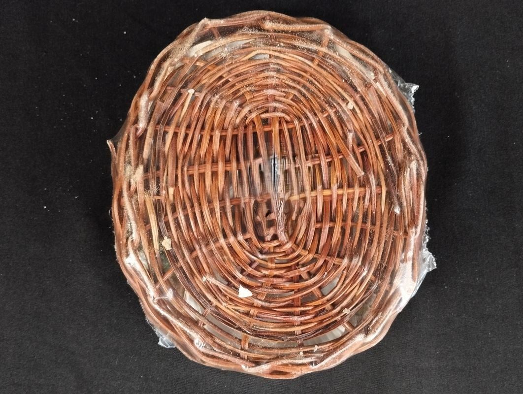 Tutte le decorazioni: Muschel-Set Dekoartikel – Nuovo e nell'imballaggio originale da Schübelbach venduto da Restwert_Schubelbach 9