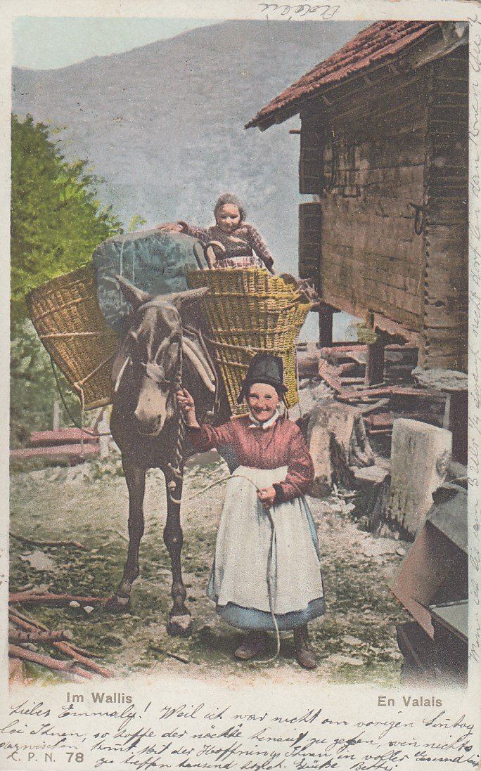 Carte Postale Ancienne Winterthour 1905, Vue De La Haute Garde Avec Femmes Et Enfants