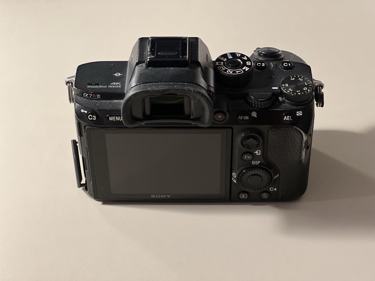 Sony Fotocamera: Sony Alpha a7R III Full Frame – Usato da Zürich venduto da cha_6k95 1