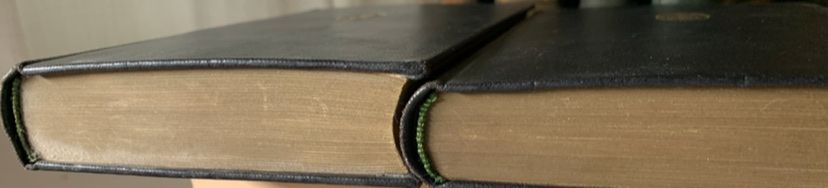 Libri: Lessing Gesammelte Werke 2 Bände - Tempel-Klassiker Leipzig  – Usato da Onex venduto da bru_fp6t 1