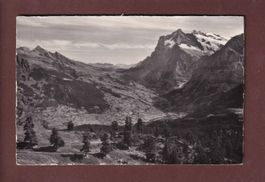 GRINDELWALD - Wetterhorn - 1950