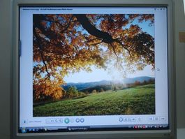 HP w 20 Monitor Computerbildschirm