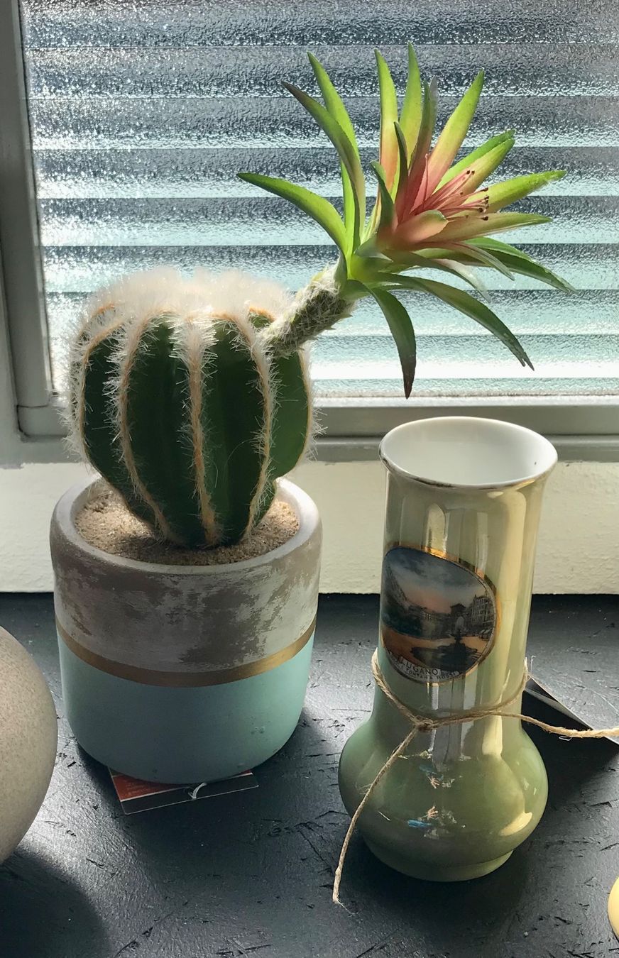 Tutte le decorazioni: Cactus deco. Hingucker wie echt. – Usato da Ascona venduto da mar_q7g5 1