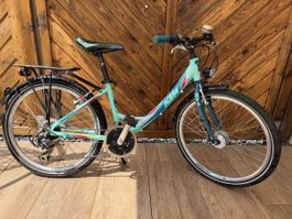 KTM Wild Cat Kindervelo 24 Zoll 35cm Rahmen Türkis