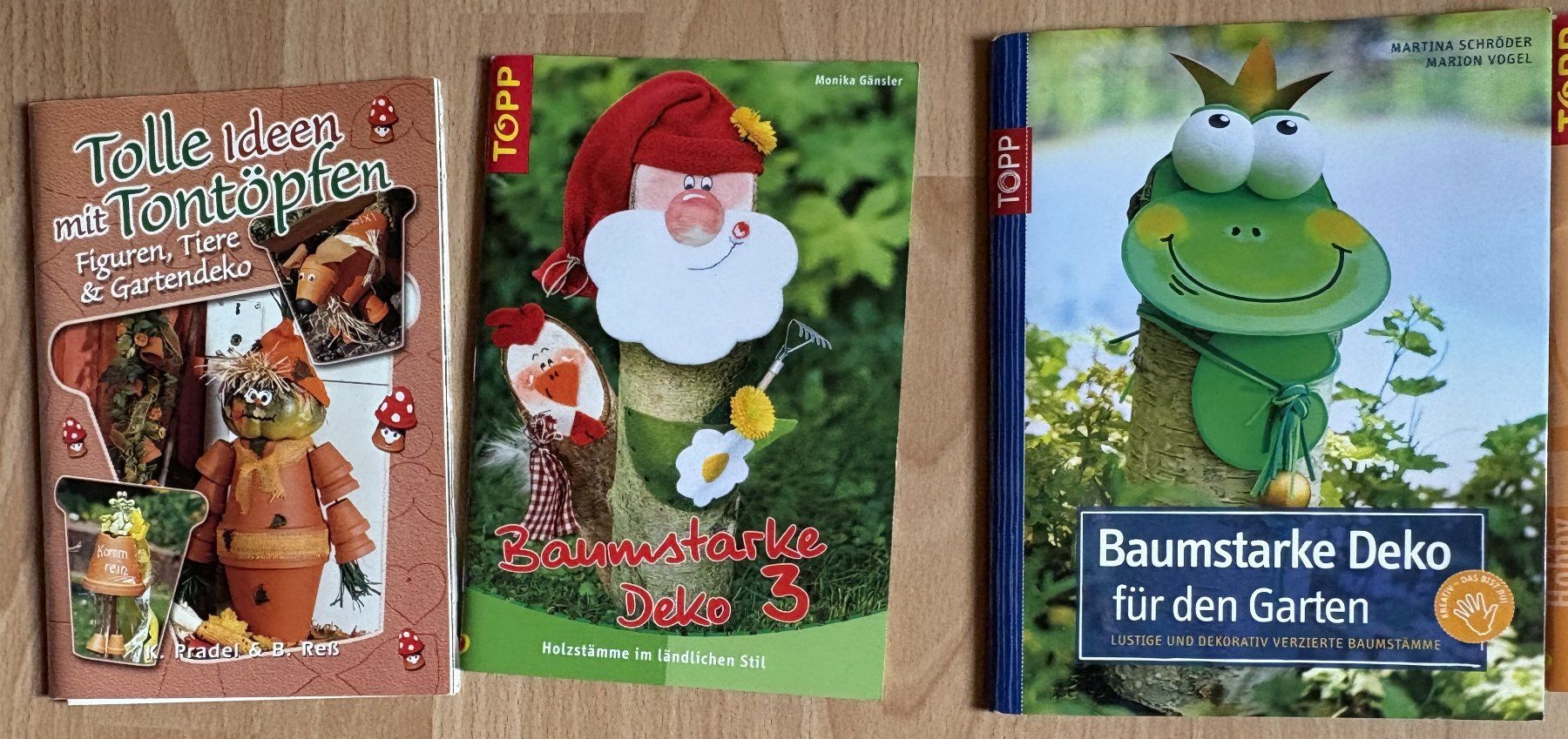 Bücher: Bastelbücher-Set 18 Stück diverse Themen – Gebraucht aus Neukirch-Egnach von Phion 5