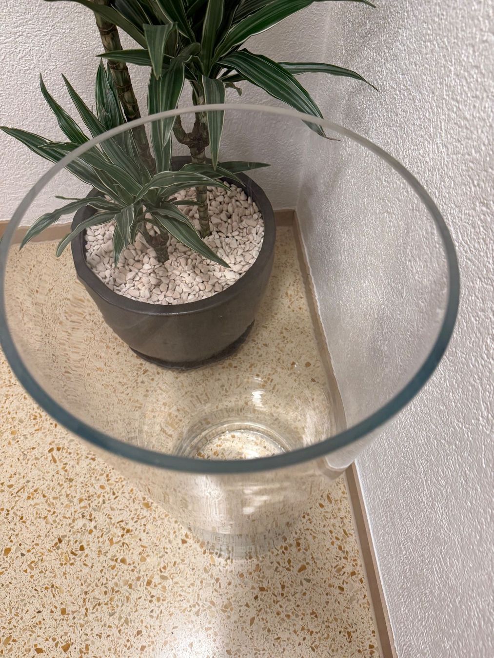 Vasi & Recipienti: Gross Deko Glass Vase – Usato da Wettingen venduto da bar7 2
