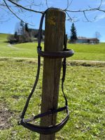 Hannoveranisches Nasenband