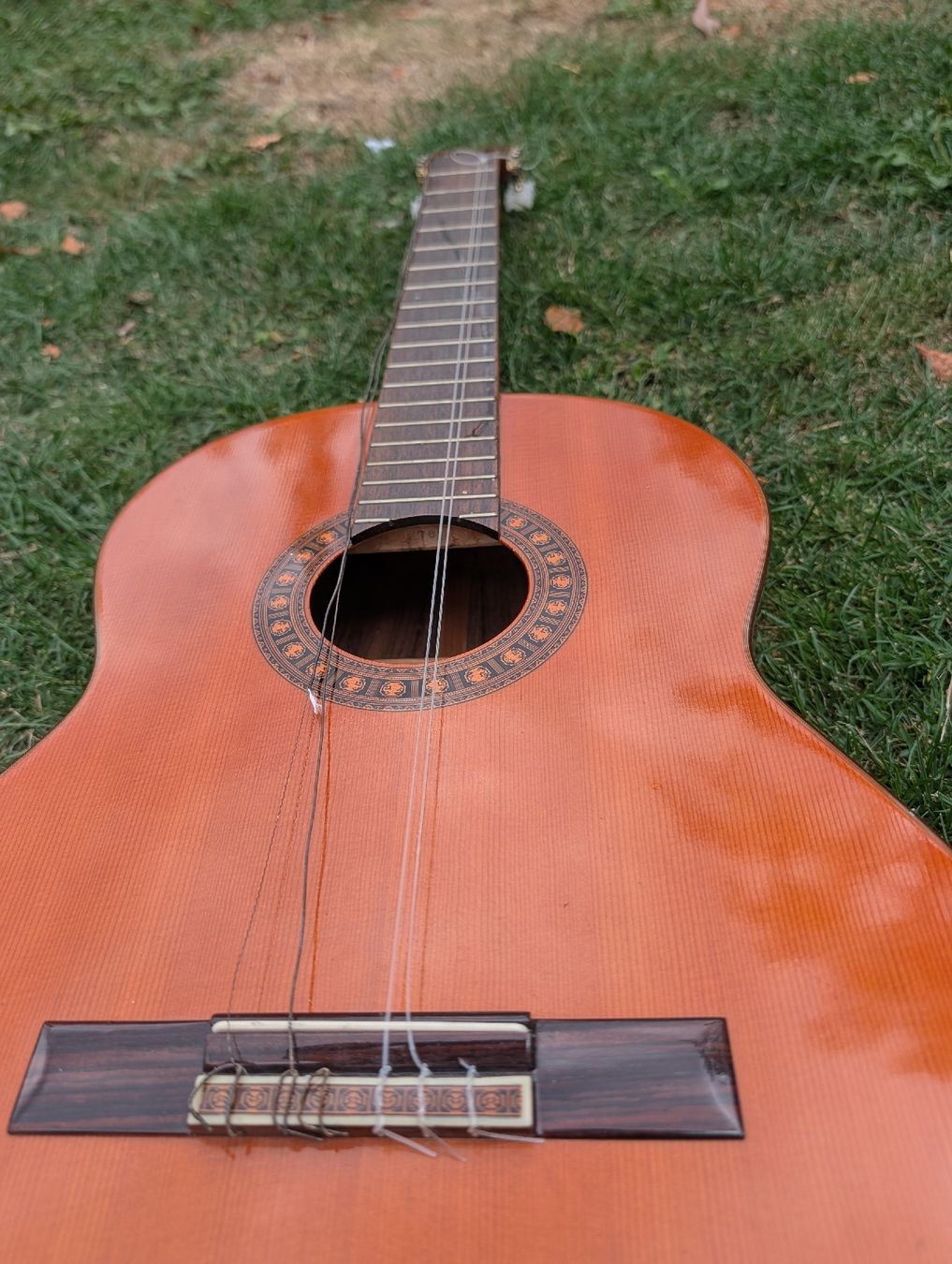 Instruments de musique: gitarre – D'occasion à Täuffelen par Seeberg-ag.ch 1