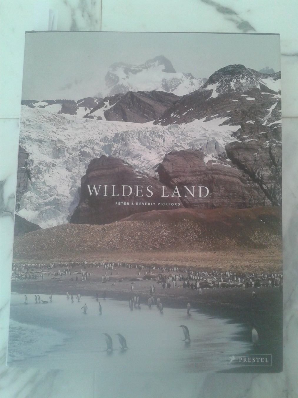 Libri: einzigartiger Bildband WILDES LAND – Nuovo (secondo la descrizione) da Camorino venduto da Campellino