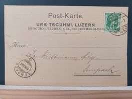 LU, U. Tscuhmi, Luzern, Droguen, Farben, Fetthandlung, 1903
