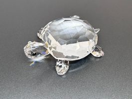 Swarovski Figurine In the Secret Garden Tortoise 5 cm