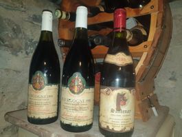 Lot de 3 vins rouges de Bourgogne! 🍷🍇