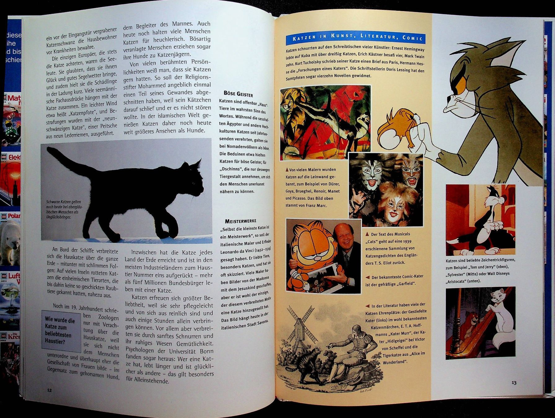 Livres: Was ist was Band 59 Katzen – D'occasion à Reitnau par Zaomir 5