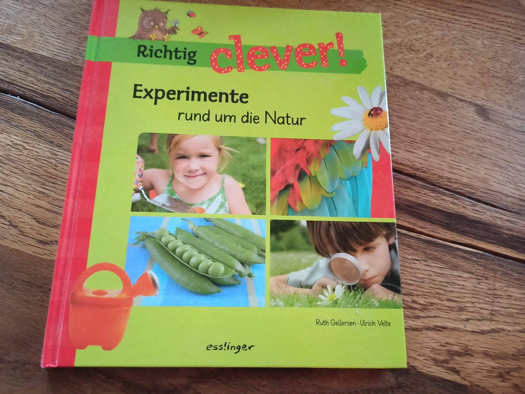 Bücher: Buch Experimente rund um die Natur – Gebraucht aus Niederwil AG von Nioc28
