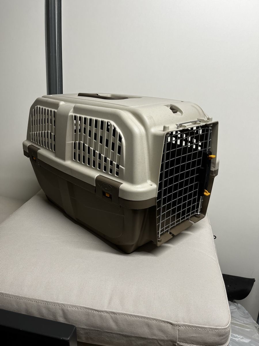 Cages, transport & sécurité: Tierbox – D'occasion à Oensingen par catching-donuts