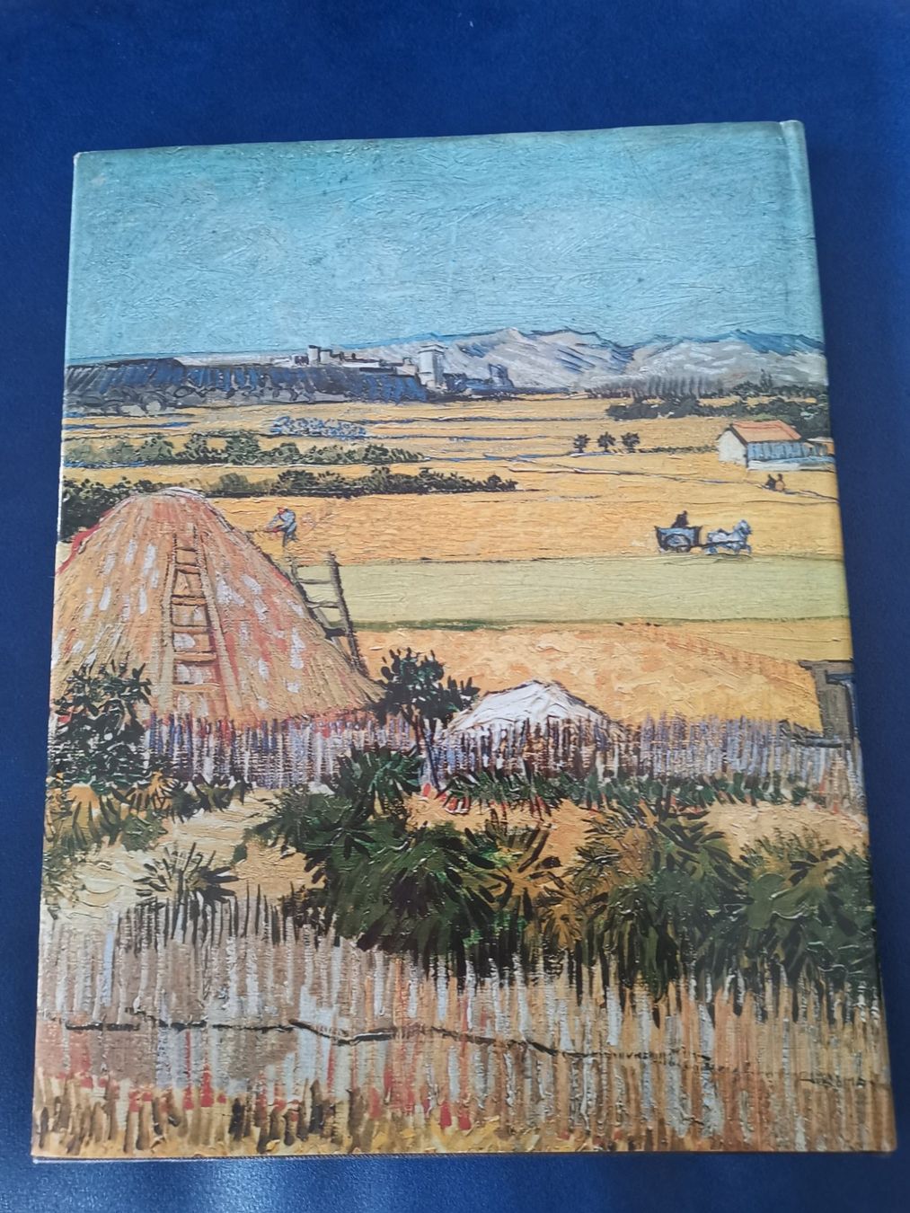Libri: Livre illustré "Vincent van Gogh" – Usato da Courtepin venduto da Marisou2 1