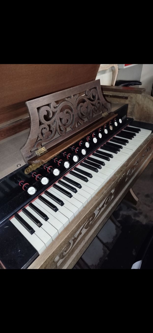 Strumenti musicali: antik piano – Usato da Niederhasli venduto da Bertanas78 2