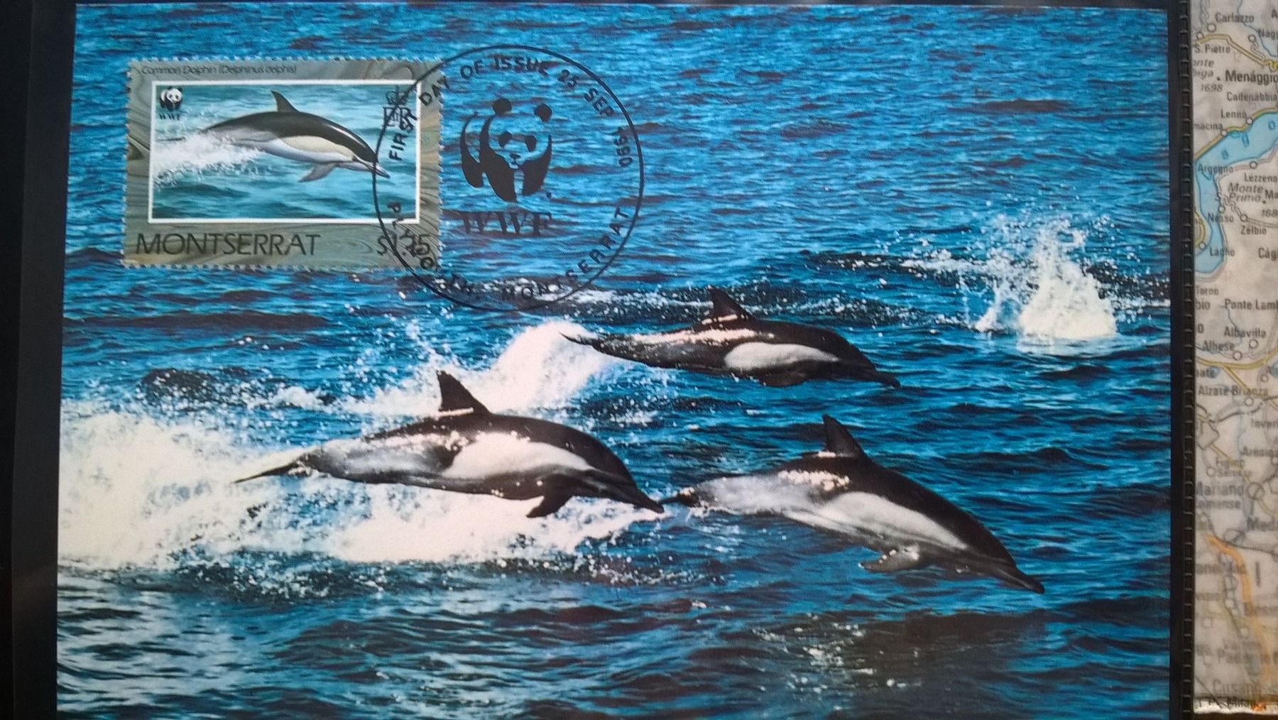 Alle Briefmarken: Montserrat 1990 Satz WWF Delphine Maximumkarten – Neu (gemäss Beschreibung) aus Liestal von schnueps 2