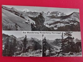 Am Wanderweg Rinderberg - Horneggli 1970