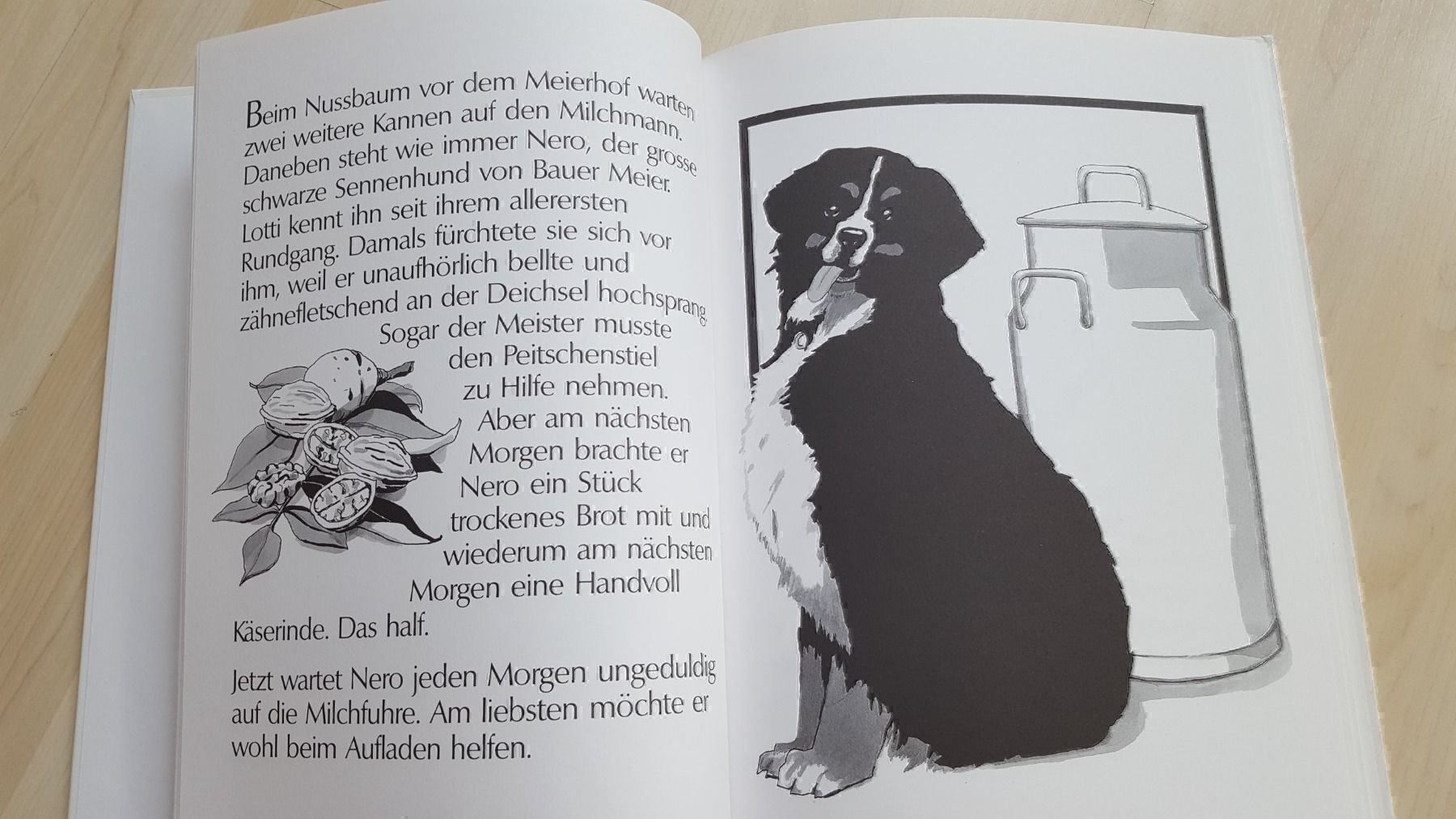Libri: Vom Lotti und vom Milchmann – Nuovo (secondo la descrizione) da Schönengrund venduto da Liane63 4