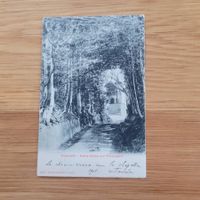 Carte Postale Schwyz 1905 St.Maurice