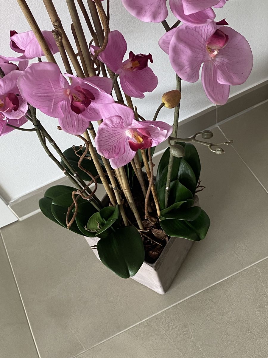Tutte le decorazioni: Orchidea artificiale 70cm – Nuovo (secondo la descrizione) da Mendrisio venduto da SGR85 4