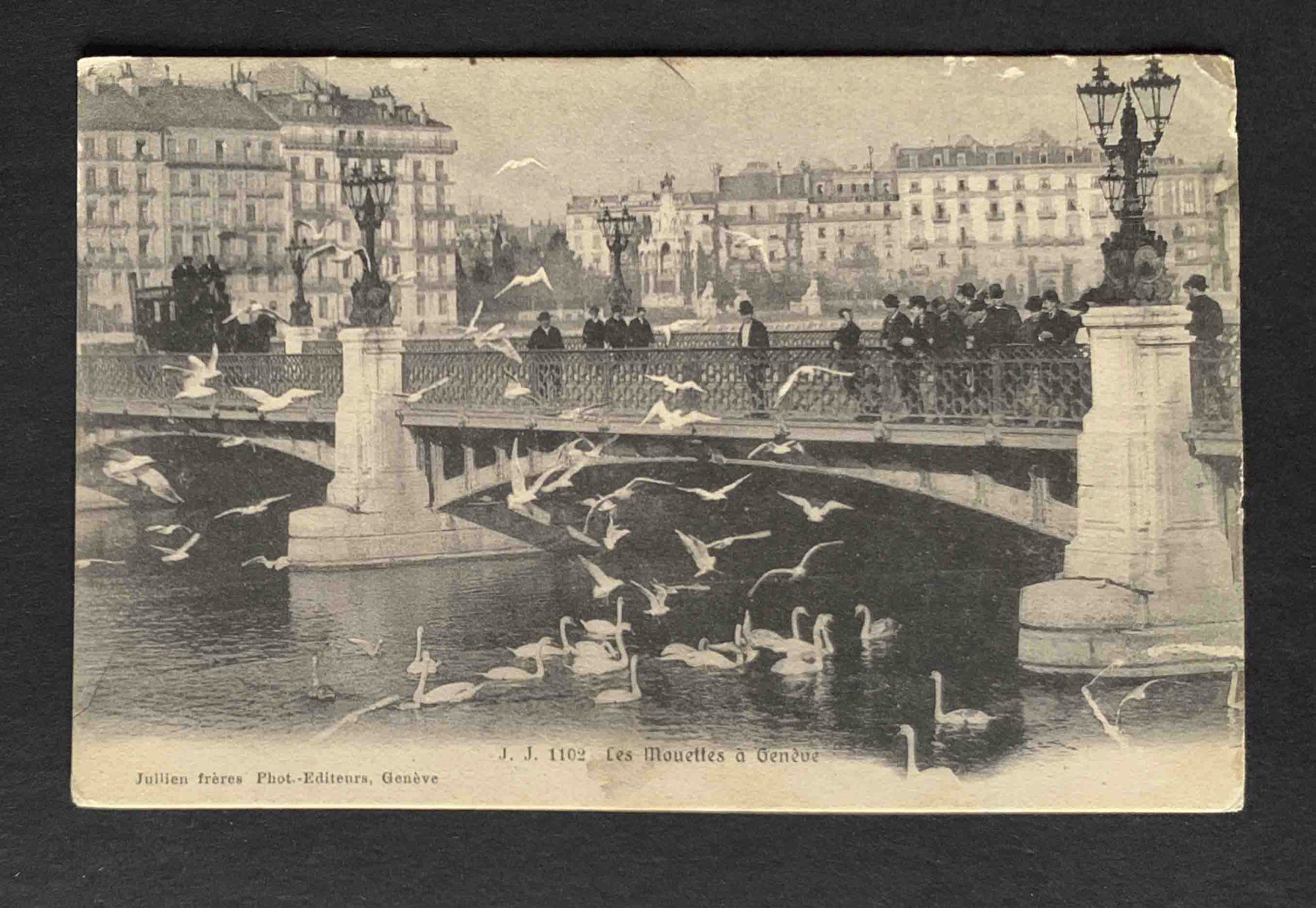 Cartoline postali: AK Les Mouettes a Geneve – Usato da Goldau venduto da artelier1