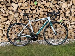 Scott contessa speedster 15 2018
