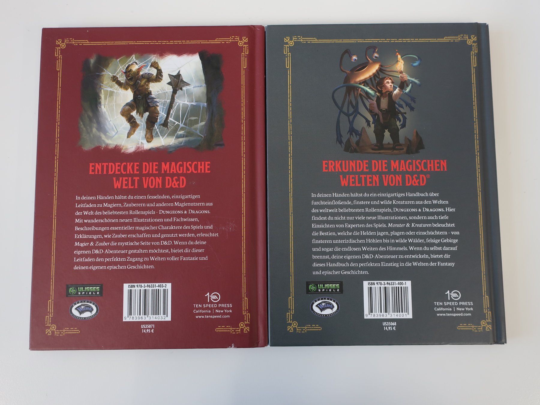 Libri: 4 Stück Dungeons & Dragons Handbücher – Usato da Volketswil venduto da brockipfannenstil 6