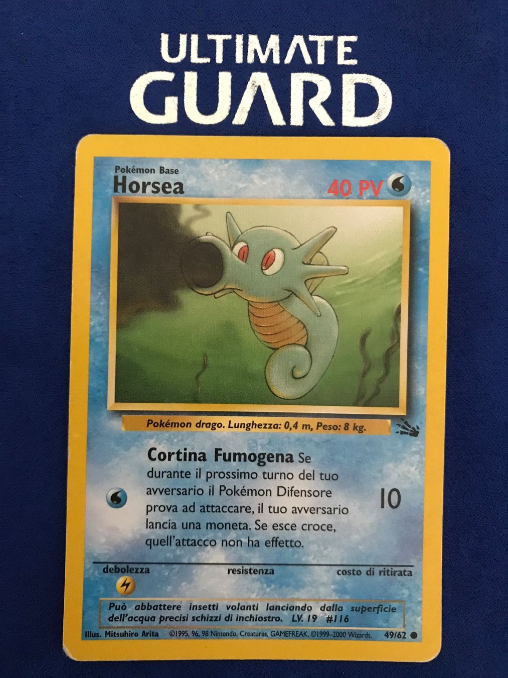 Pokémon Carte collezionabili: Pokemon TCG - Horsea IT – Usato da Lyss venduto da DeaDiLuna