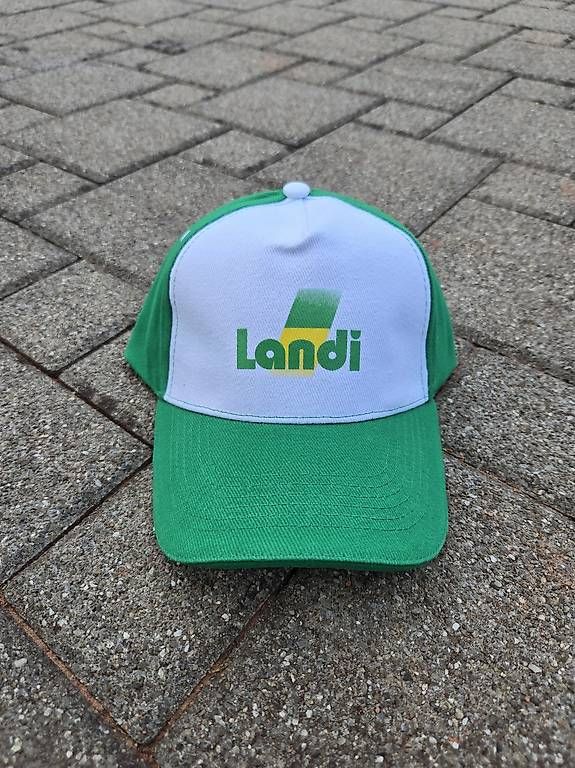 Altro in  Abbigliamento & Accessori: Landi Cap 70 Stück – Usato da Uster venduto da cha_xv85