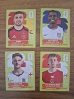 Panini WM 2026
