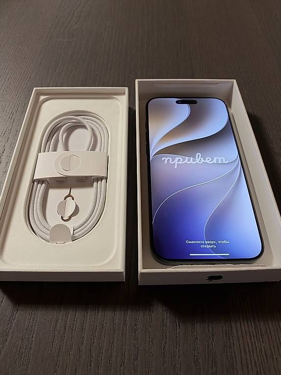Apple Telefoni cellulari / Smartphones: iPhone 16 Pro Max Schwarz 512GB – Usato da Gränichen venduto da Dagoeri