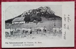Alp Schmiedenmatt bei Fahrern 1910