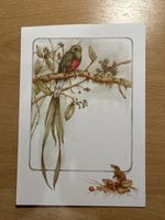 Quetzal und Waldspitzmaus Postkarte - Seltenes Motiv!