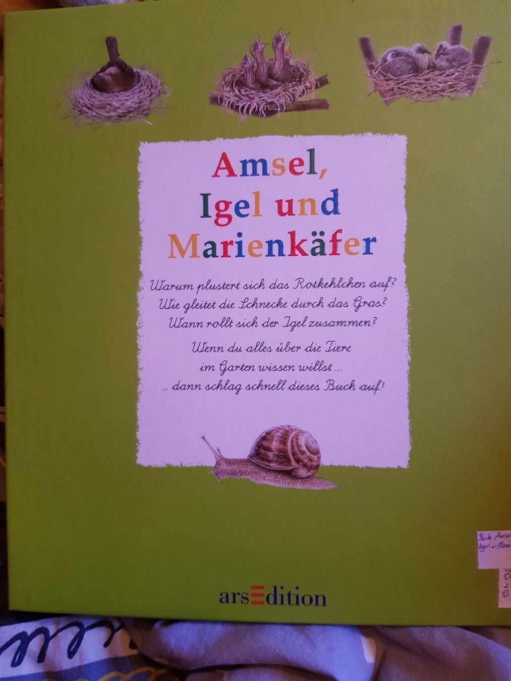 Bücher: Buch Amsel, Igel und Marienkäfer – Neu und originalverpackt aus Schwarzenburg von Flamingo07 1