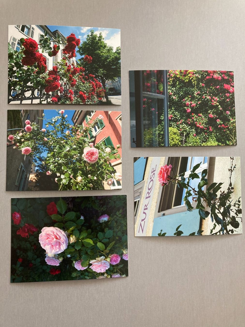 Ansichtskarten: Postkarten Blumen – Neu und originalverpackt aus Obfelden von miau68