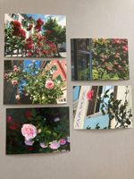 Postkarten Blumen