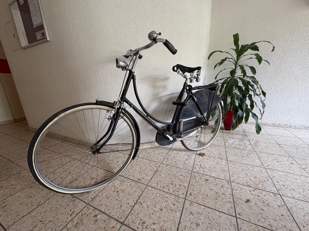 Gazelle Velos: Damenvelo Gazelle – Gebraucht aus Zürich von ksc_qs68 1