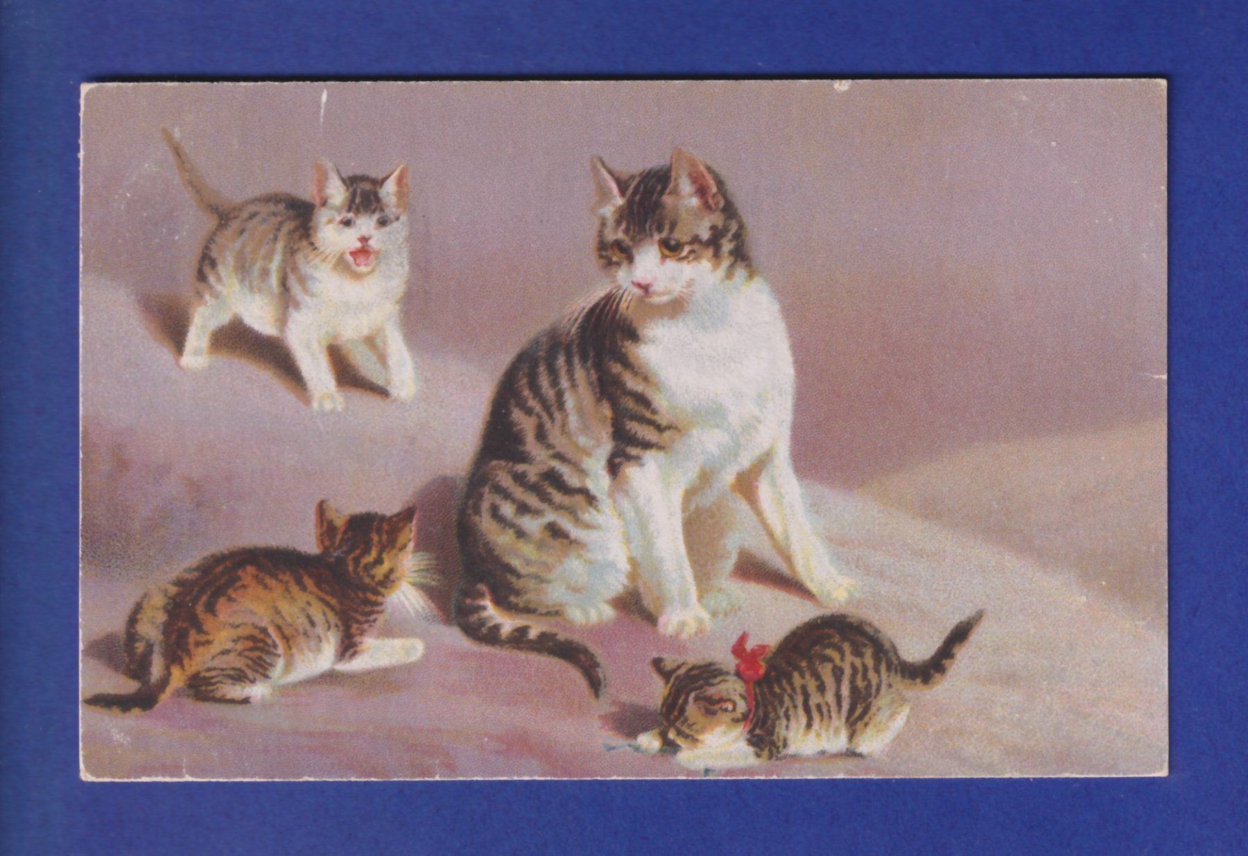 Ansichtskarten: CHAT - Maman chat et ses chatons – Gebraucht aus Pully von nicecards-shop