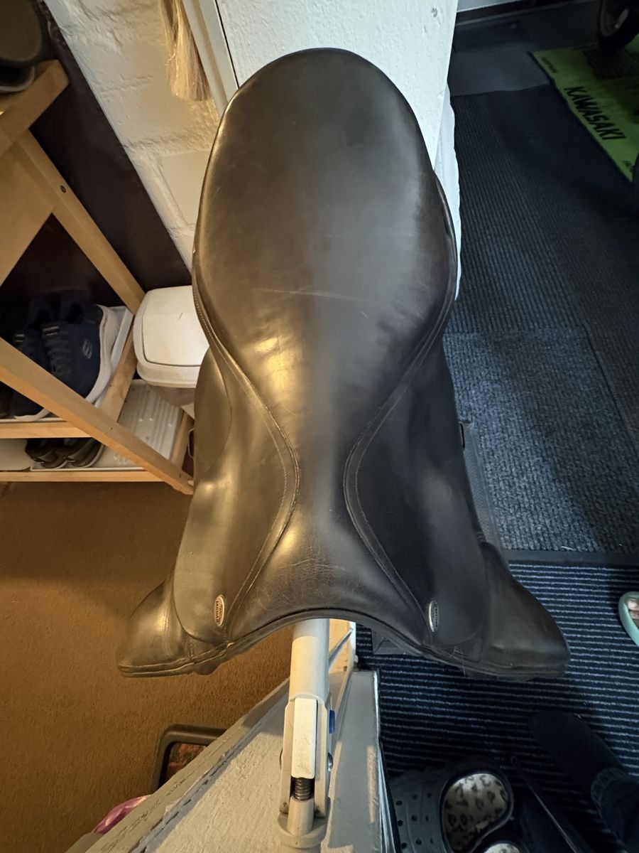 Selle & Accessori: Vielseitigkeitssattel, Leder – Usato da Niederglatt ZH venduto da Rubina2