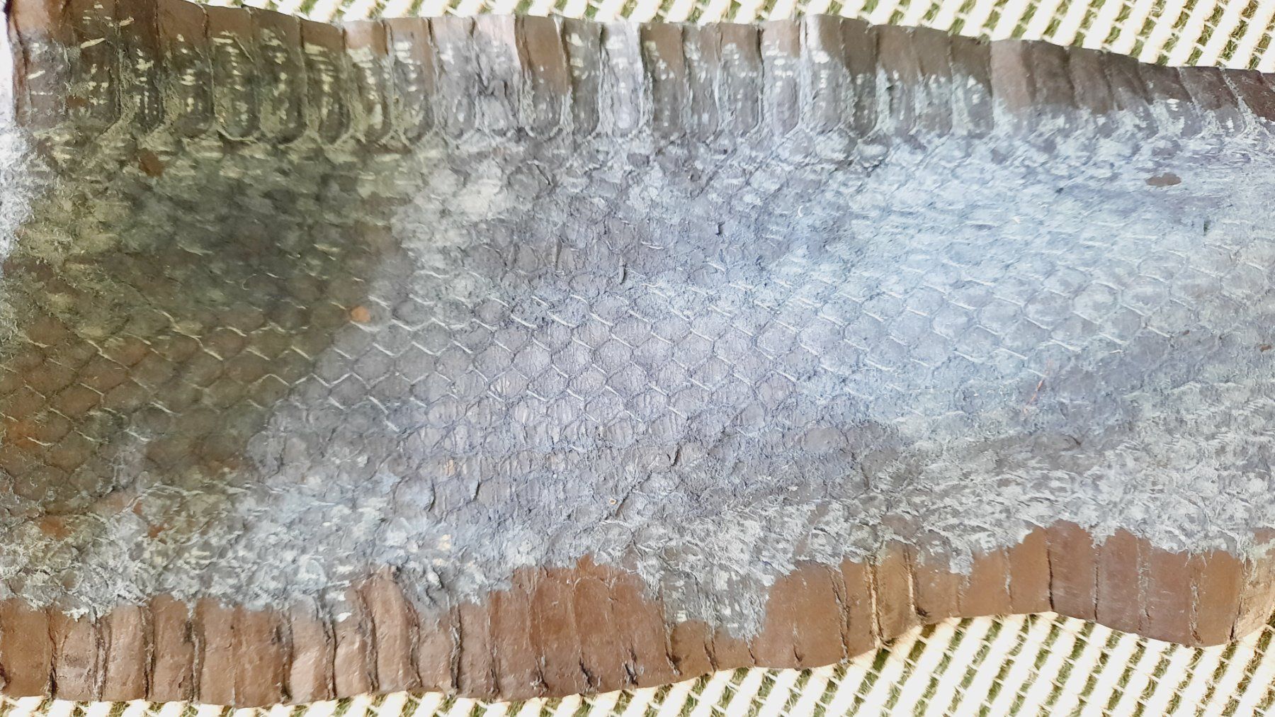 Stoffe: echtes Schlangenleder; – Neu (gemäss Beschreibung) aus Herrliberg von AlexandraBopp