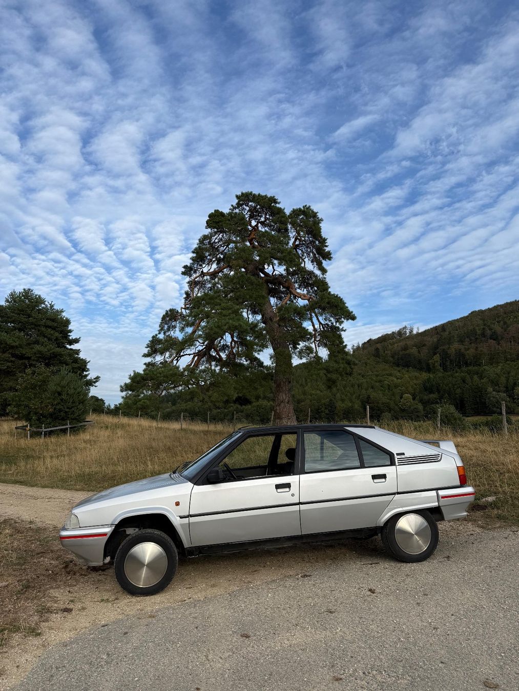 Citroën Automobili: Citroen BX 19 GTI – Usato da Péry venduto da PFRX 1