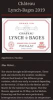 Château Lynch Bages 2019 in OHK, Pauillac,Weinkühler